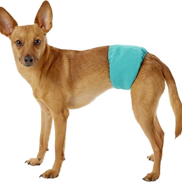 Simple Solution Washable Male Wrap Size Small - Picture 2 of 3